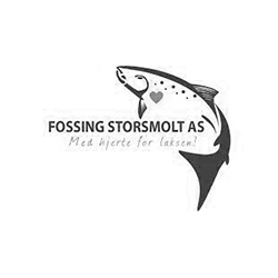 fossing-storsmolt